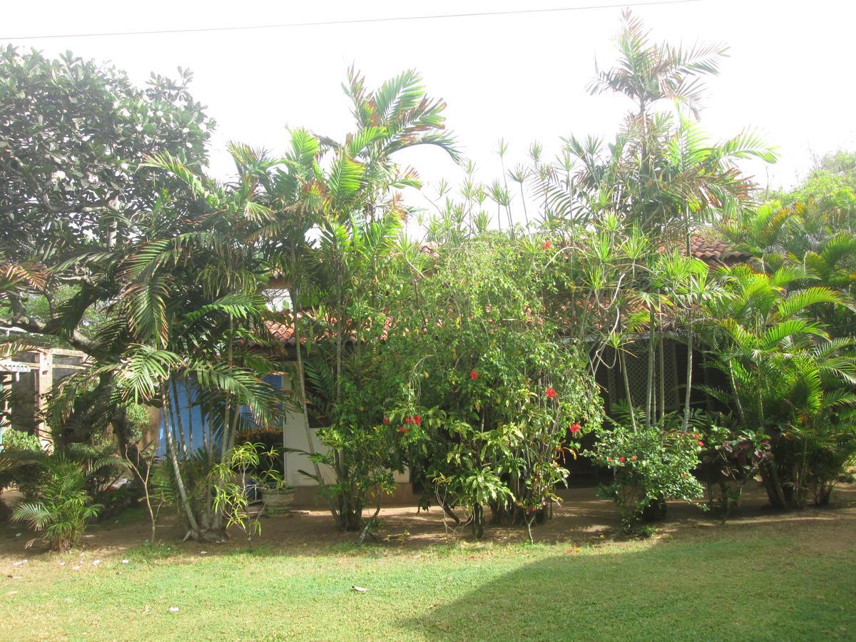 Cottage Garden Bungalows Moratuwa Bagian luar foto